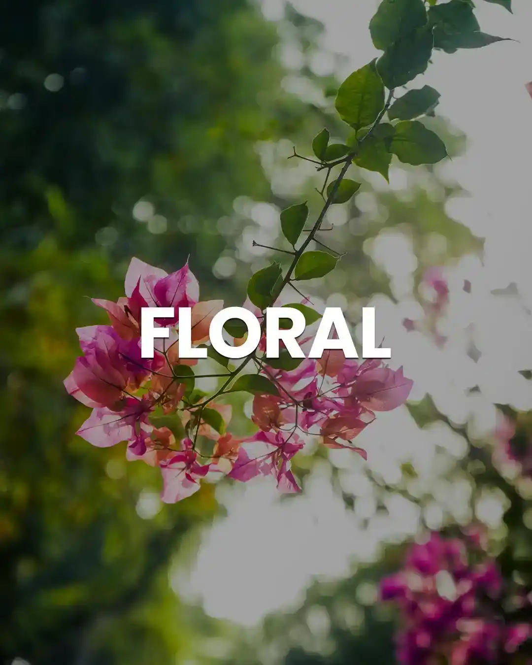 Floral